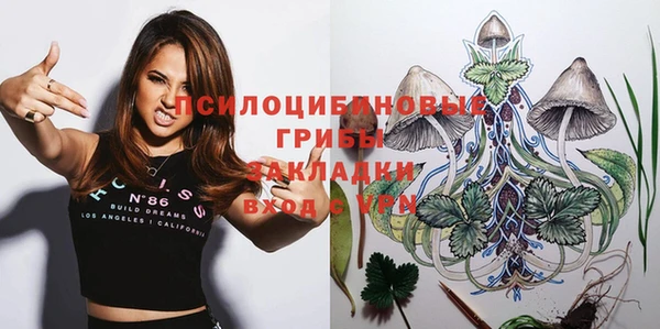 МДПВ Лысково