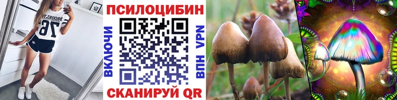 Галлюциногенные грибы Psilocybine cubensis  Ленск 